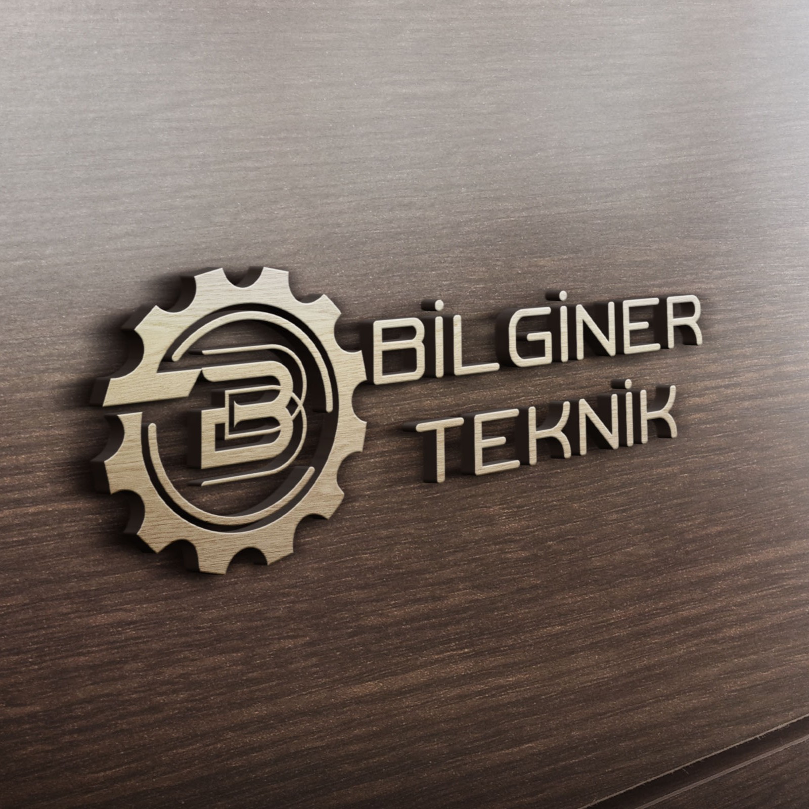 Bilginer Teknik